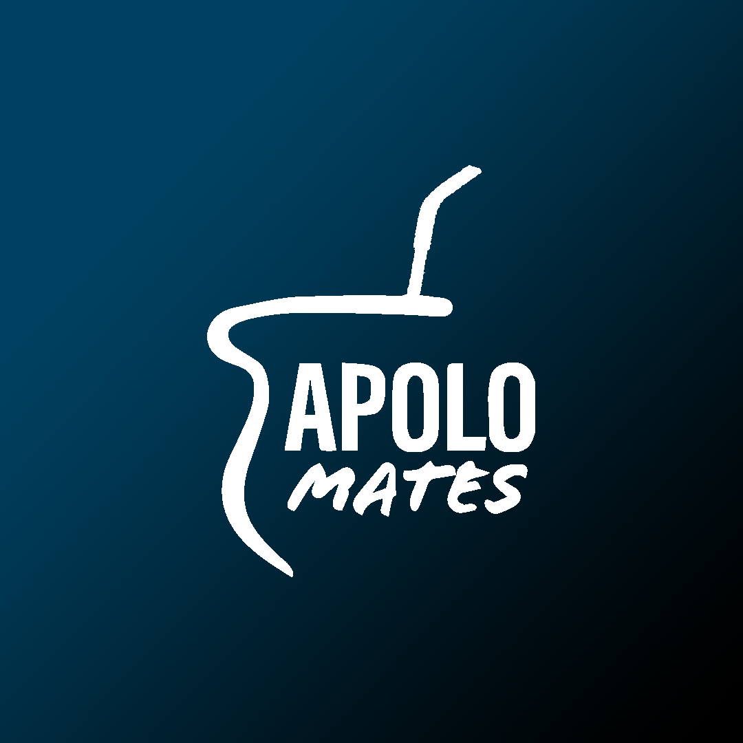 Mate camionero Argentina campeón +bombilla - Apolo Mates