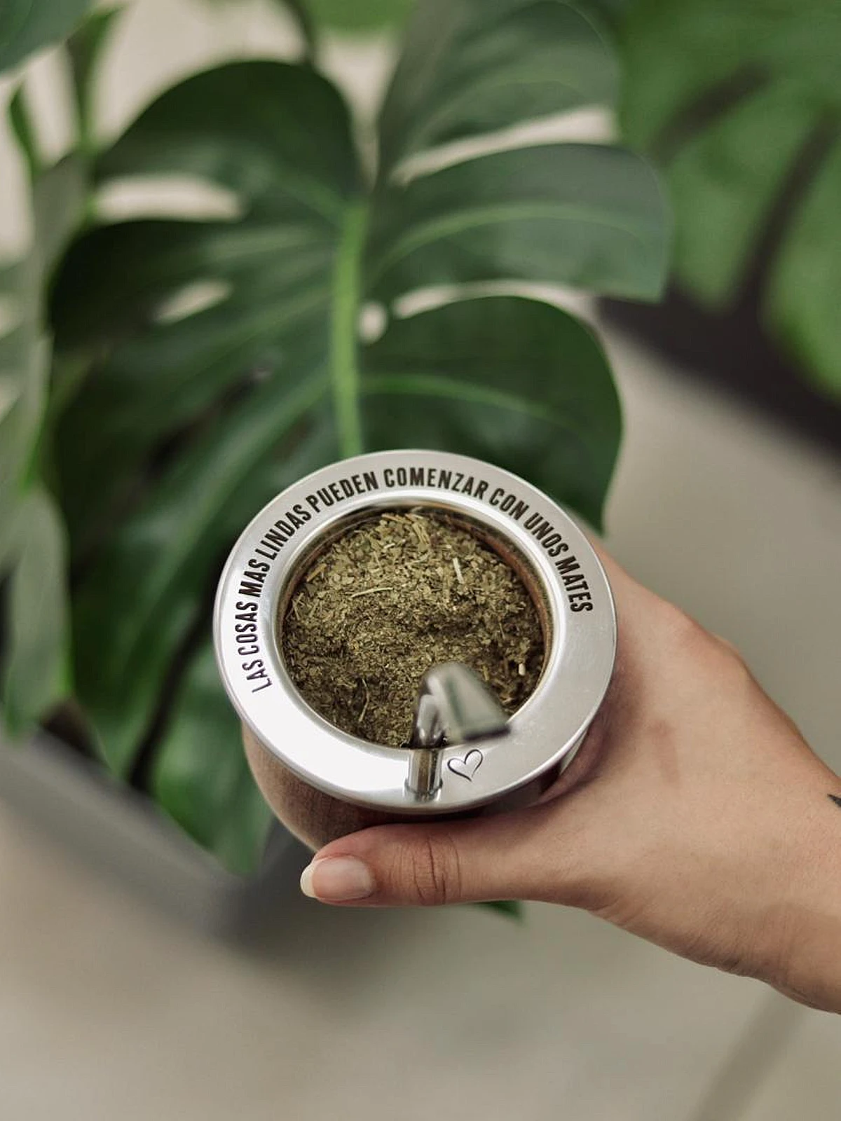 2x1 Imperial de algarrobo +camionero - Imagen 4